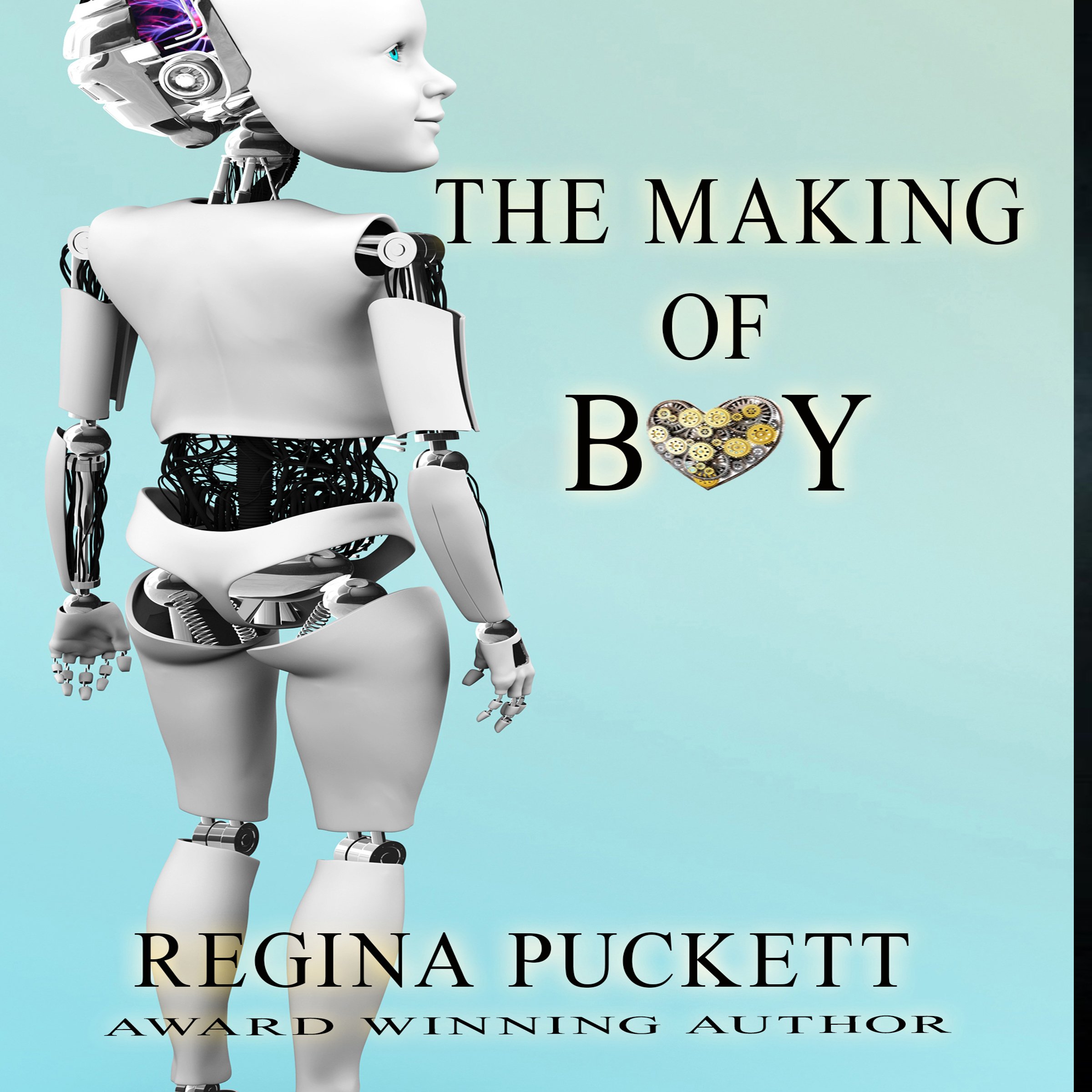 Cover art for The Making of Boy