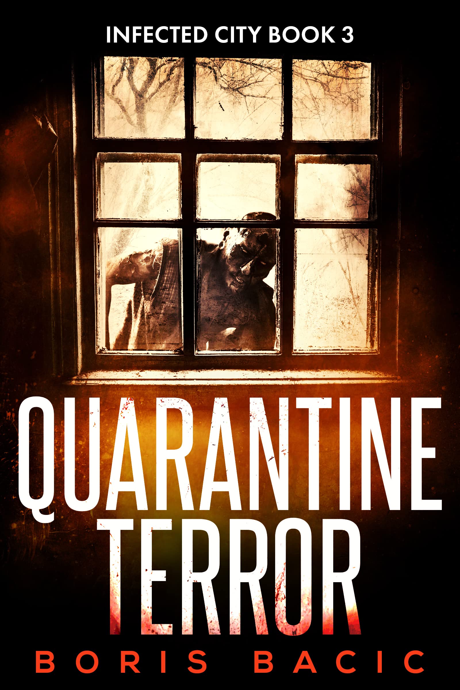 Quarantine Terror (Infected City Book 3)