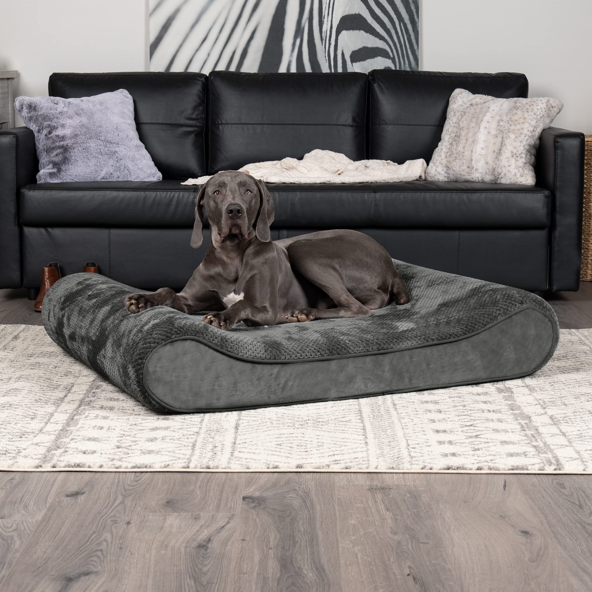 Amazon.com : Furhaven Memory Foam Dog Bed for Large Dogs w