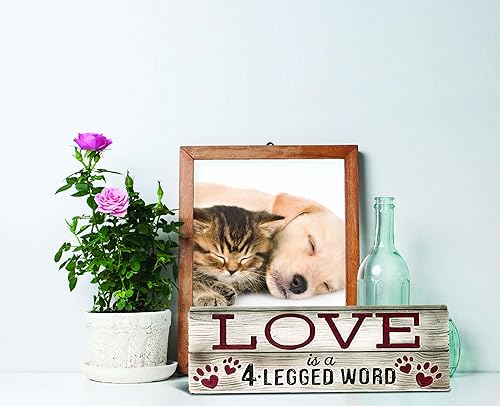 Miniatura 3 de Spoontiques Letrero de escritorio de Wonder Woman