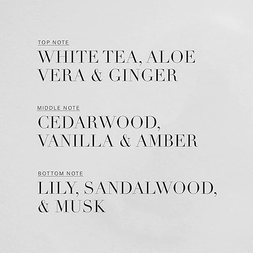 Miniatura 4 de Colección Hotel  Dream On Essential Oil  Aceite difusor de aroma de aromaterapia inspirado en hoteles de lujo  toques de té blanco brillante,