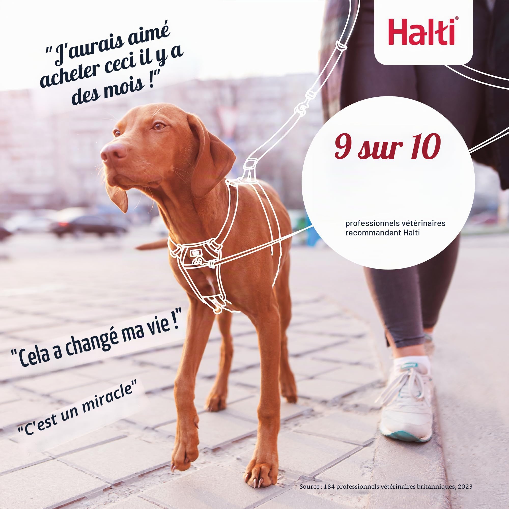 HALTI Harnais anti-traction Taille M & HALTI Laisse d'entraînement Taille L Noir Pack combiné – Empêche votre chien de tirer sur la laisse. Réglable, léger et facile à utiliser. Convient aux chiens de