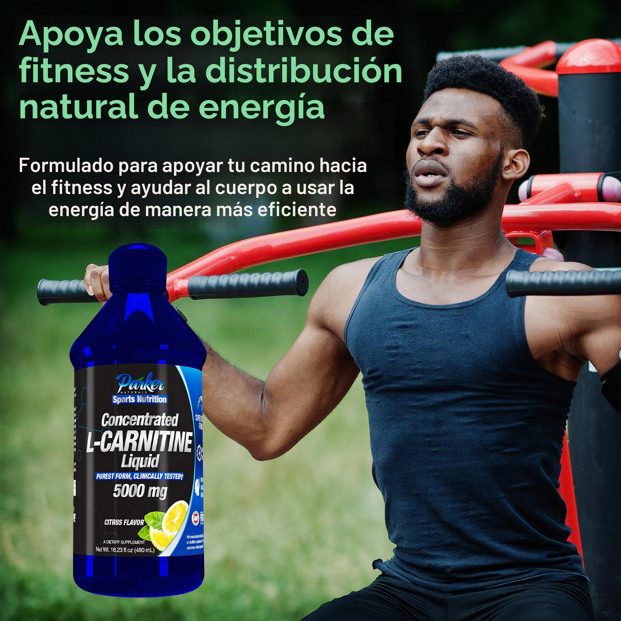 beneficios de l carnitina liquida Parker Naturals Líquido concentrado L-carnitina, suplemento de L-carnitina con sabor a cítricos totalmente naturales, L-carnitina líquida con vitamina V5, 16.23 onzas líquidas : Salud y Hogar Silymarin with L-Glutathione Amino Formato:6 x 90g (6 meses) topical peptides