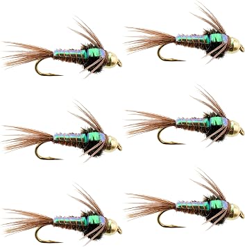 The Fly Fishing Place Tungsten Bead Head Nymph Fly Fishing Flies - Flashback Pheasant Tail Trout Fly - Nymph Wet Fly - 6 Flies Hook Size 16