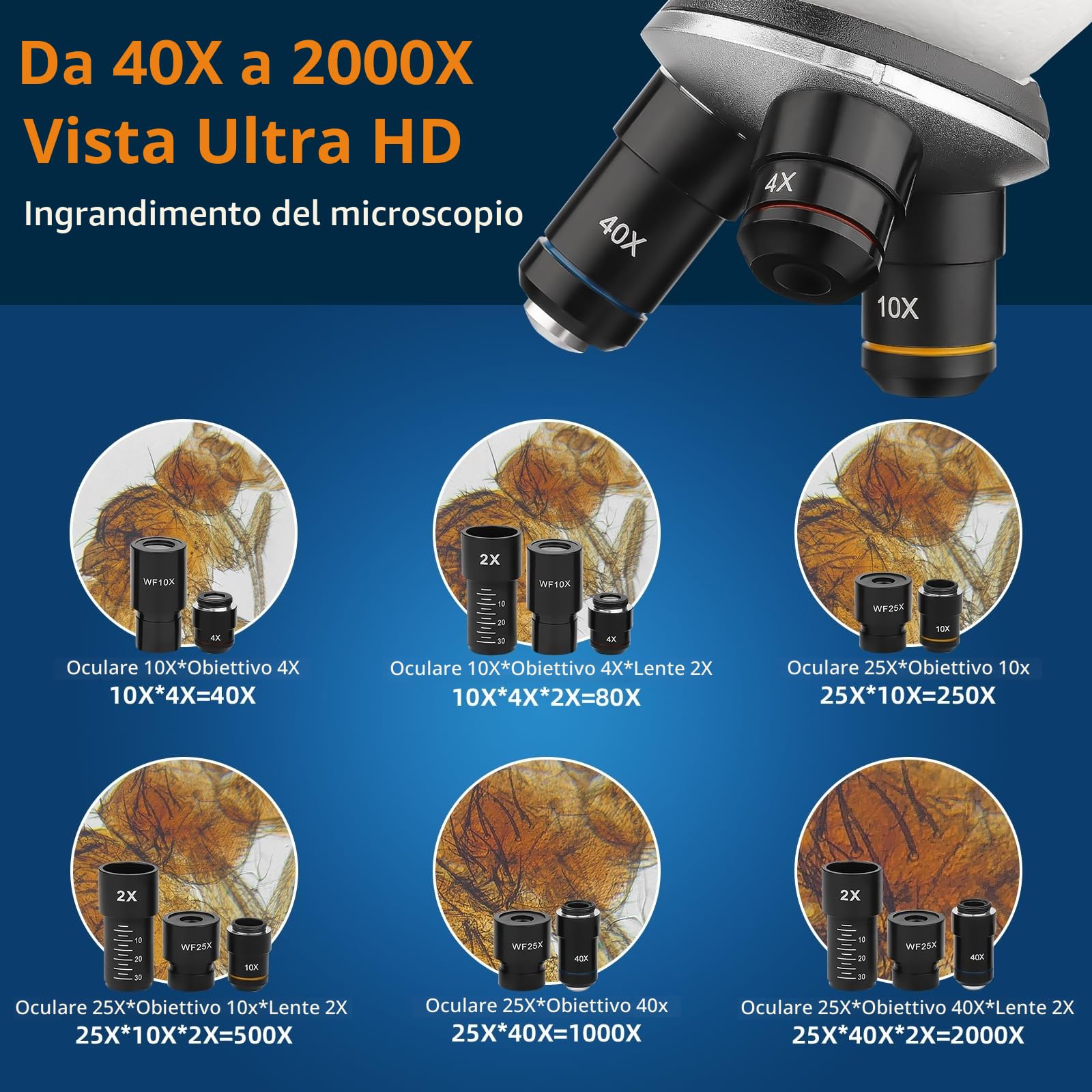 BEBANG 40X-2000X Microscopio per bambini adulti, microscopio per studenti a doppia illuminazione a LED con kit scientifici per la ricerca in laboratorio, l'istruzione a casa,Microscopio professionale