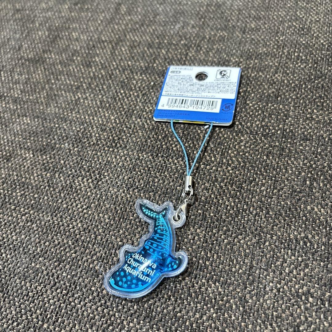 Amazon.co.jp: 沖縄美ら海水族館 ストラップ 琉球 キーホルダー