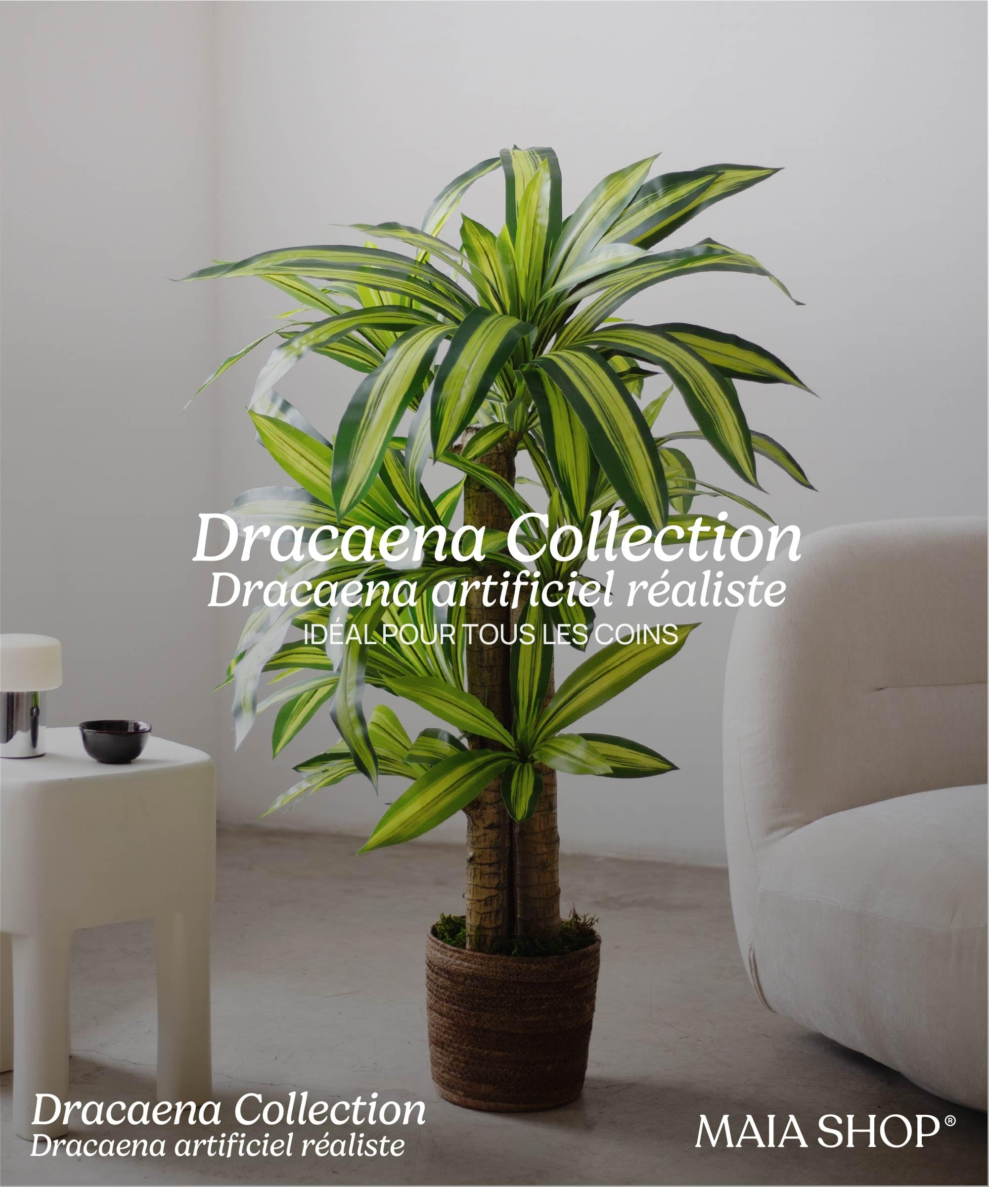 Maia Shop Dracaena Artificielle 150 cm - Faux Arbre d'Intérieur