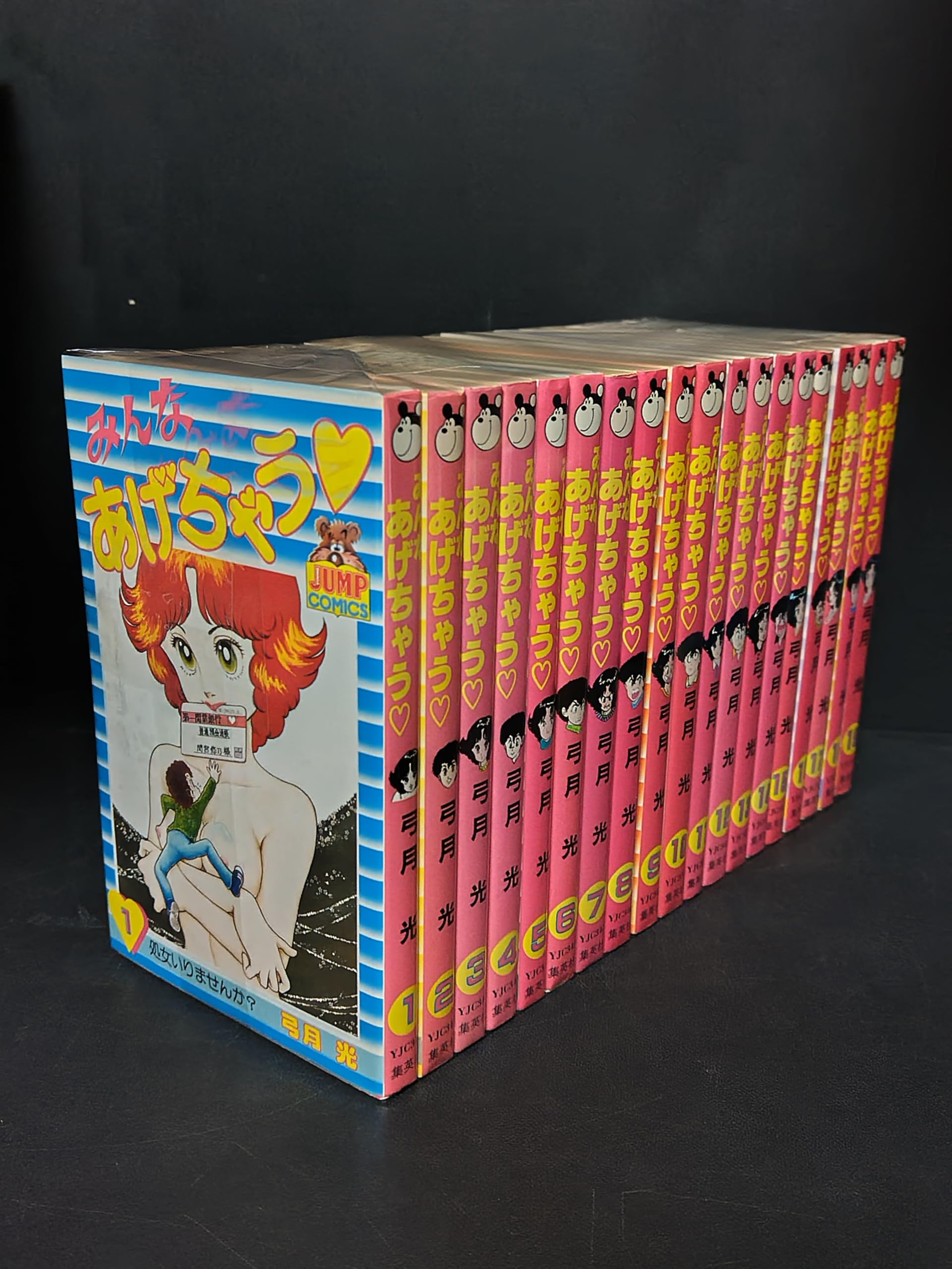 みんなあげちゃう 全19巻完結 [マーケットプレイス コミックセット