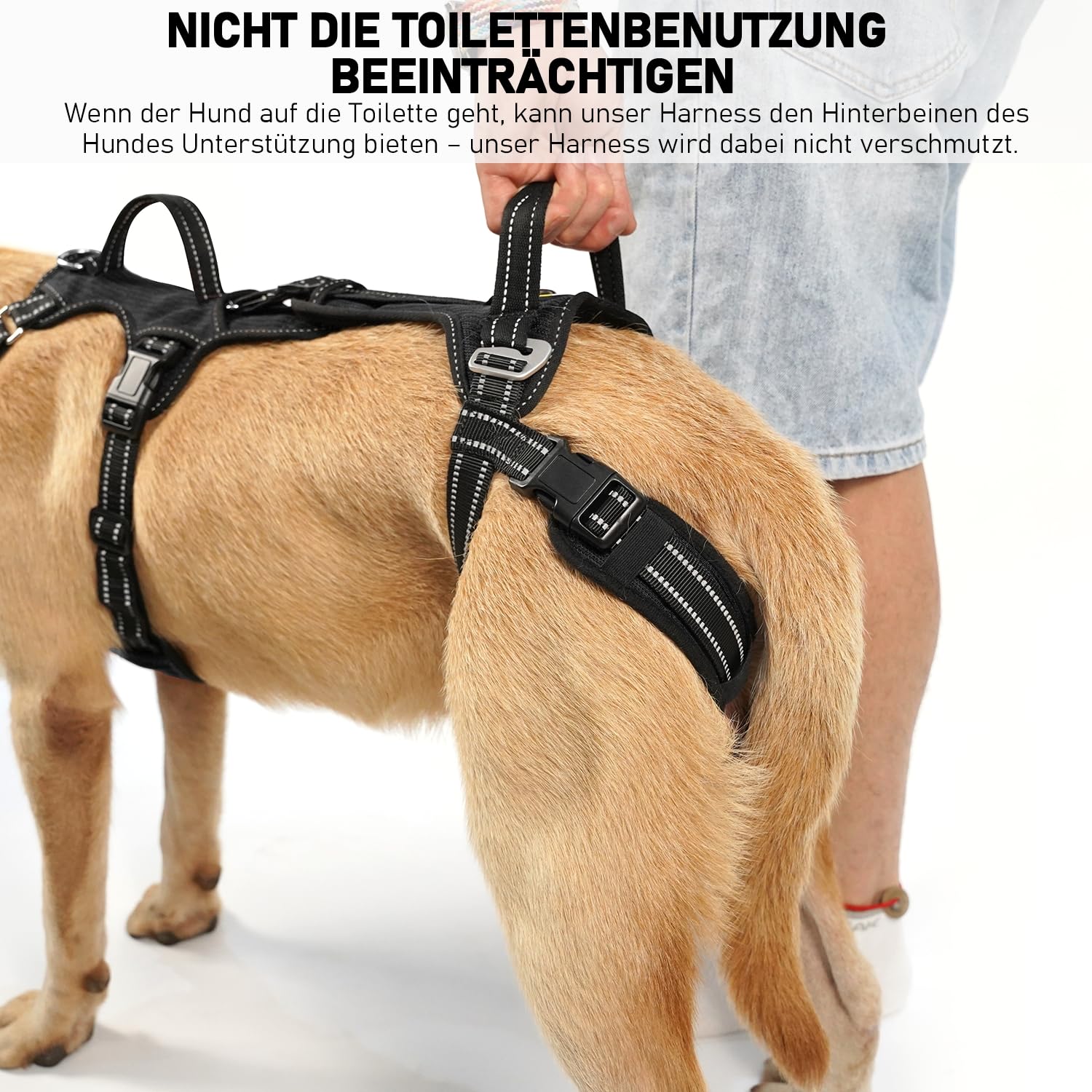 COODEO Tragehilfe Hund Hinterbeine, Hunde Hebegeschirr mit Schultergurt, Hundelift Gehhilfe für alte Hunde, Reha-Geschirr bei Arthritis, Gelenkverletzung, OP & Treppenhilfe (Schwarz, M)