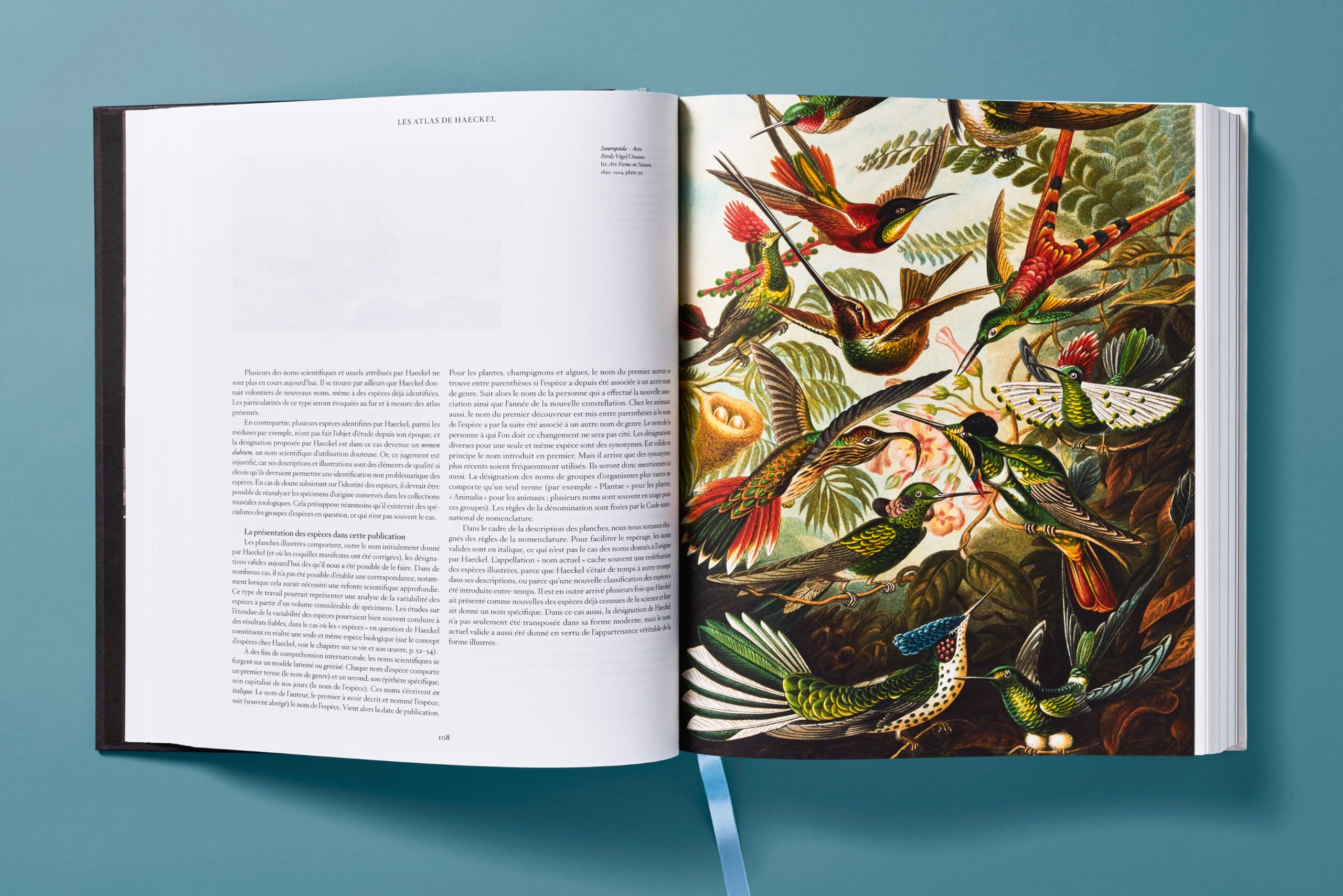 The Art and Science of Ernst Haeckel
