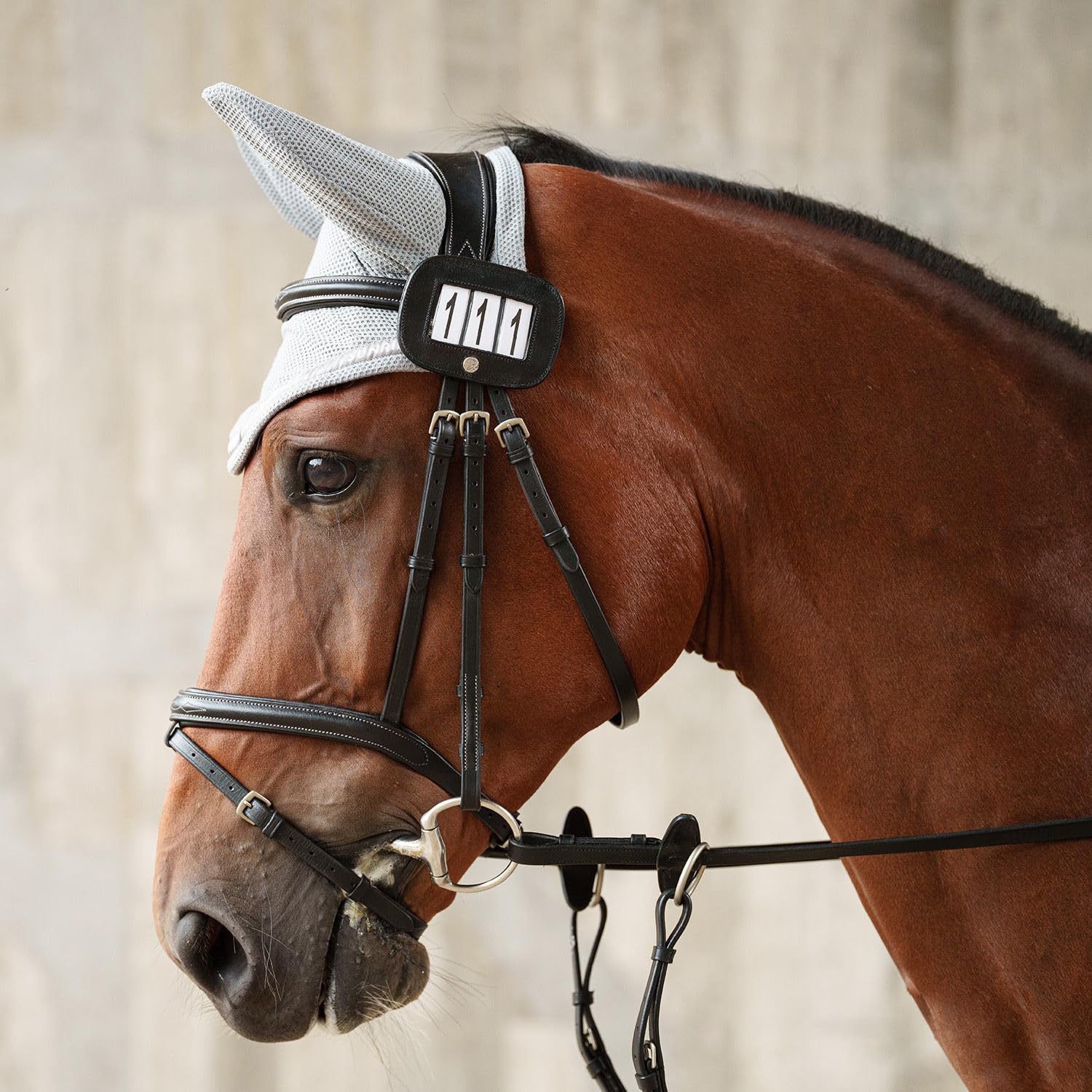 SUNRIDE Soporte para números para Caballos, 3 dígitos, 1 par, Piel auténtica, Negro