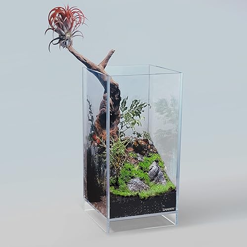 Miniatura 8 de LANDEN Panna Madera de Deriva Natural para Decoración de Acuario para Peces de Agua Dulce (30-40 cm, 12-16 pulgadas) 4 piezas Terrarios Vivarios