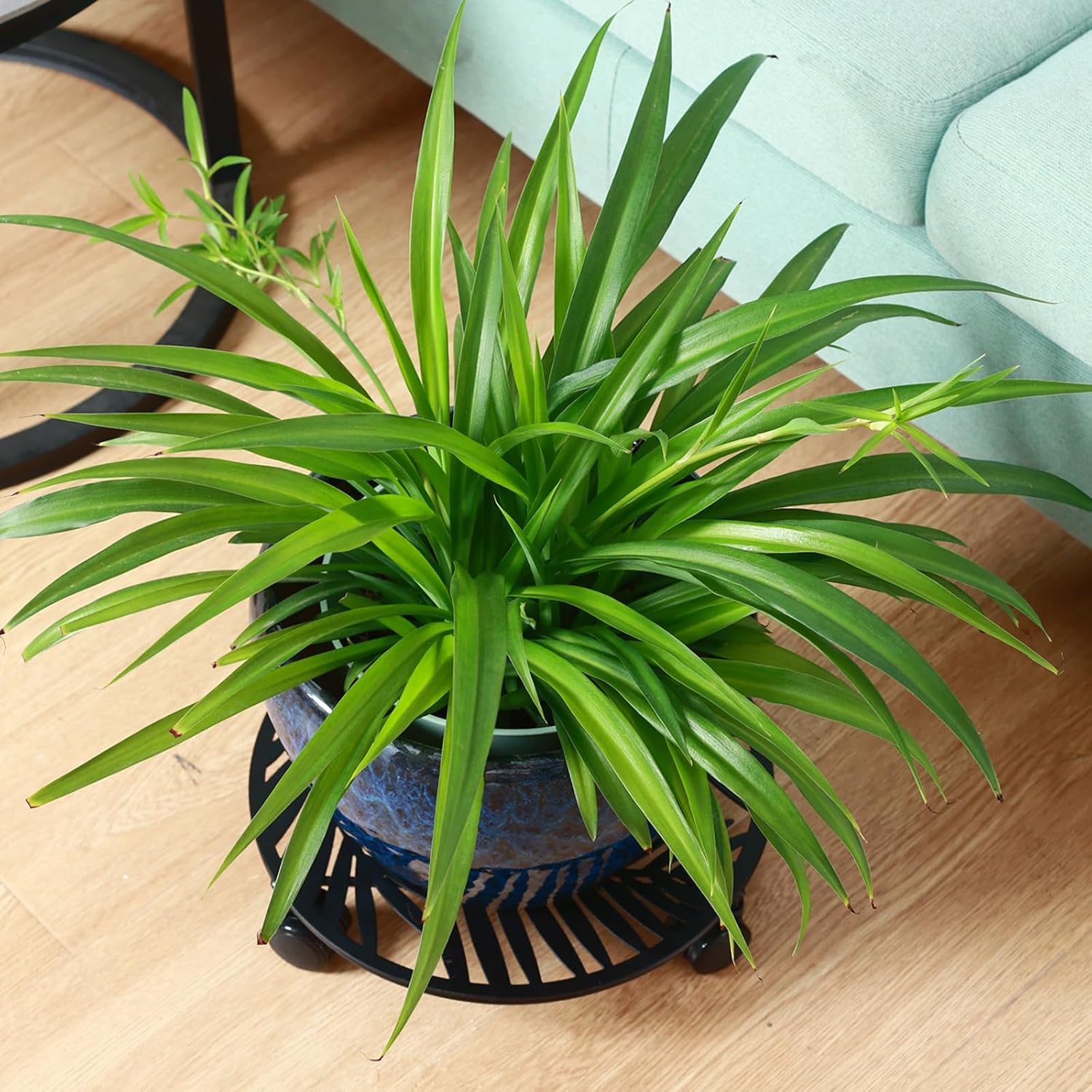 2 Packs Large Metal Plant Caddy with Wheels 13" Rolling Plant Stands Heavy-duty Wrought Iron Roller Planter Movers Indoor Outdoor Wheeled Plant Dolly with Casters Tray Coaster, Slender leaves
