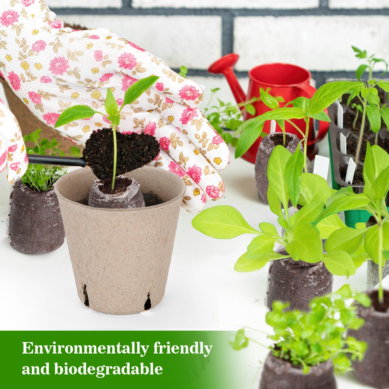 biobu bambus geschirr LEKOCH Blue Eco Friendly Bambus Geschirr Set 10 Stück füt 2 Personen –  lekochshop