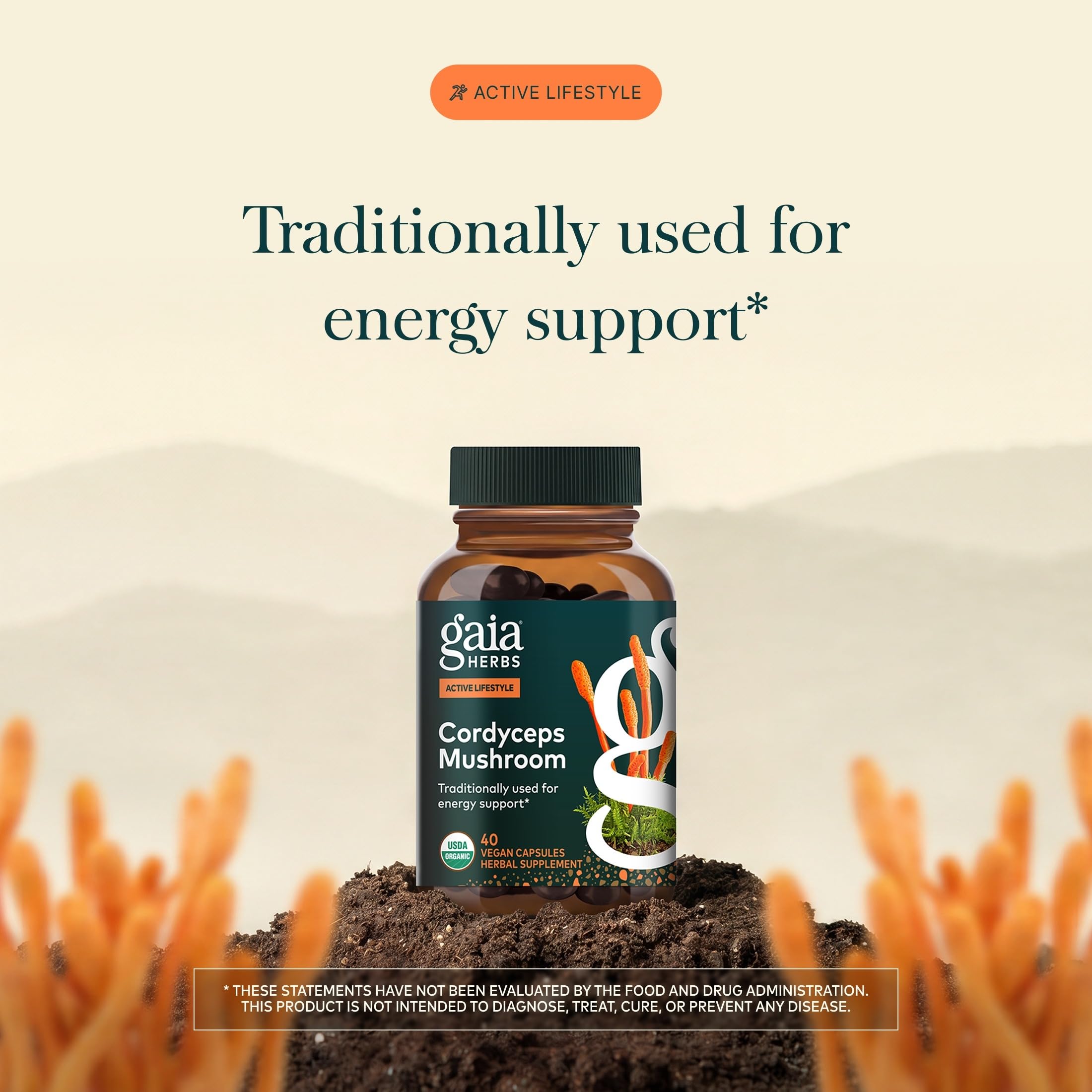 Gaia Herbs Cordyceps Mushroom, 40 Vegan Capsules, 40 Servings — Amazon image 3