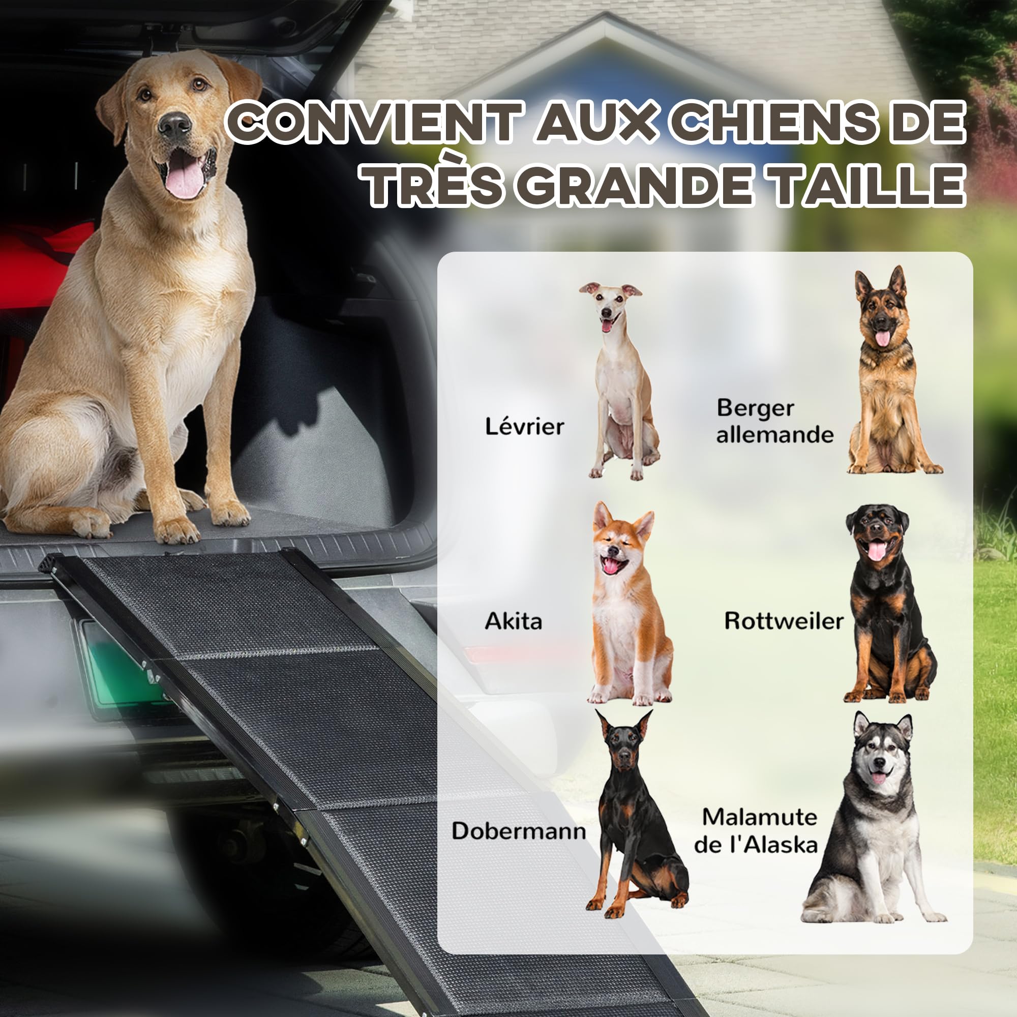 PawHut Rampe Pliable pour Chiens en Alliage d'aluminium, escalier pour Chien avec Surface antidérapante, Facile à Transporter - Rampe Voiture Chien pour Chiens de Grands Taille, 158x43,5x2,5cm, Noir
