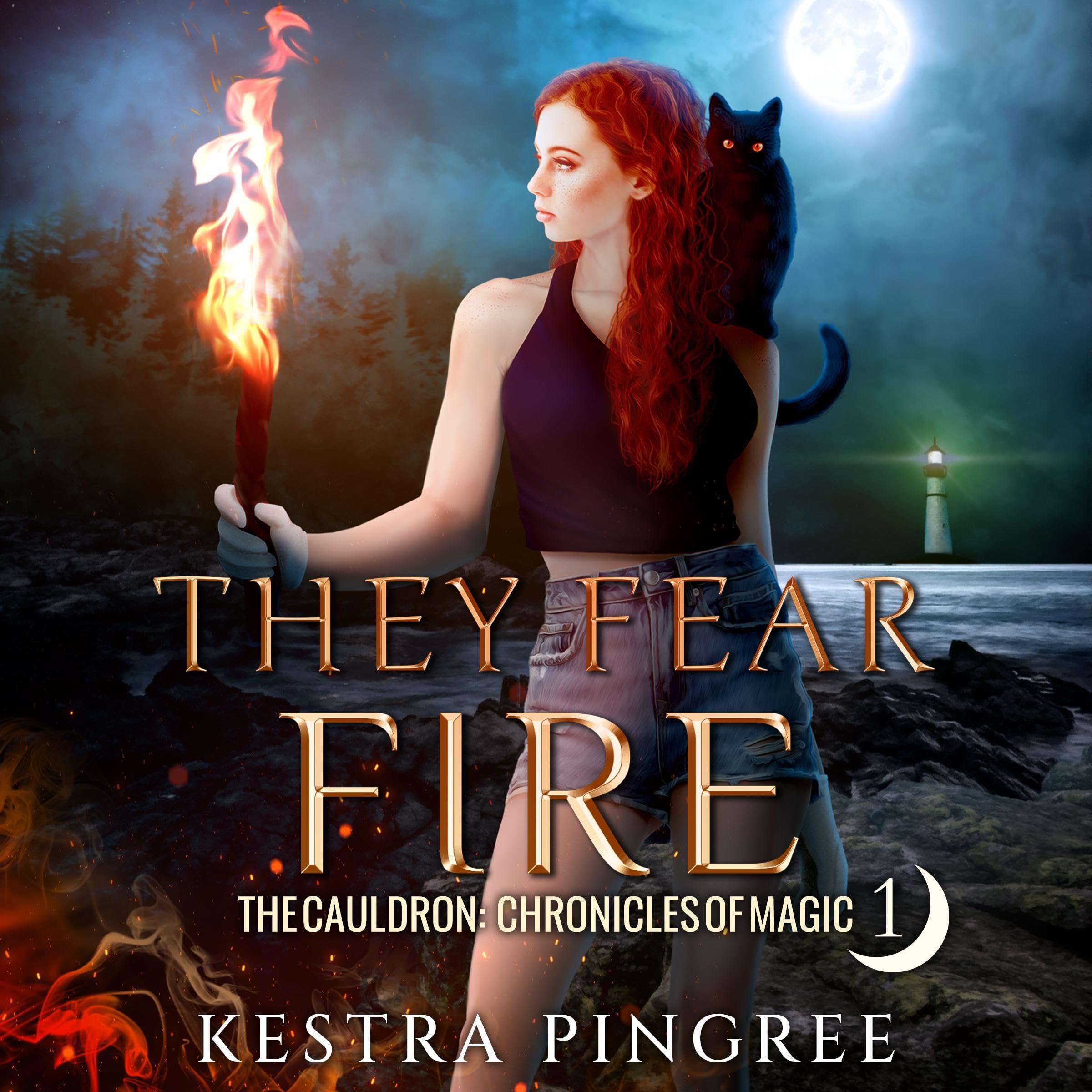 Cover art for They Fear Fire