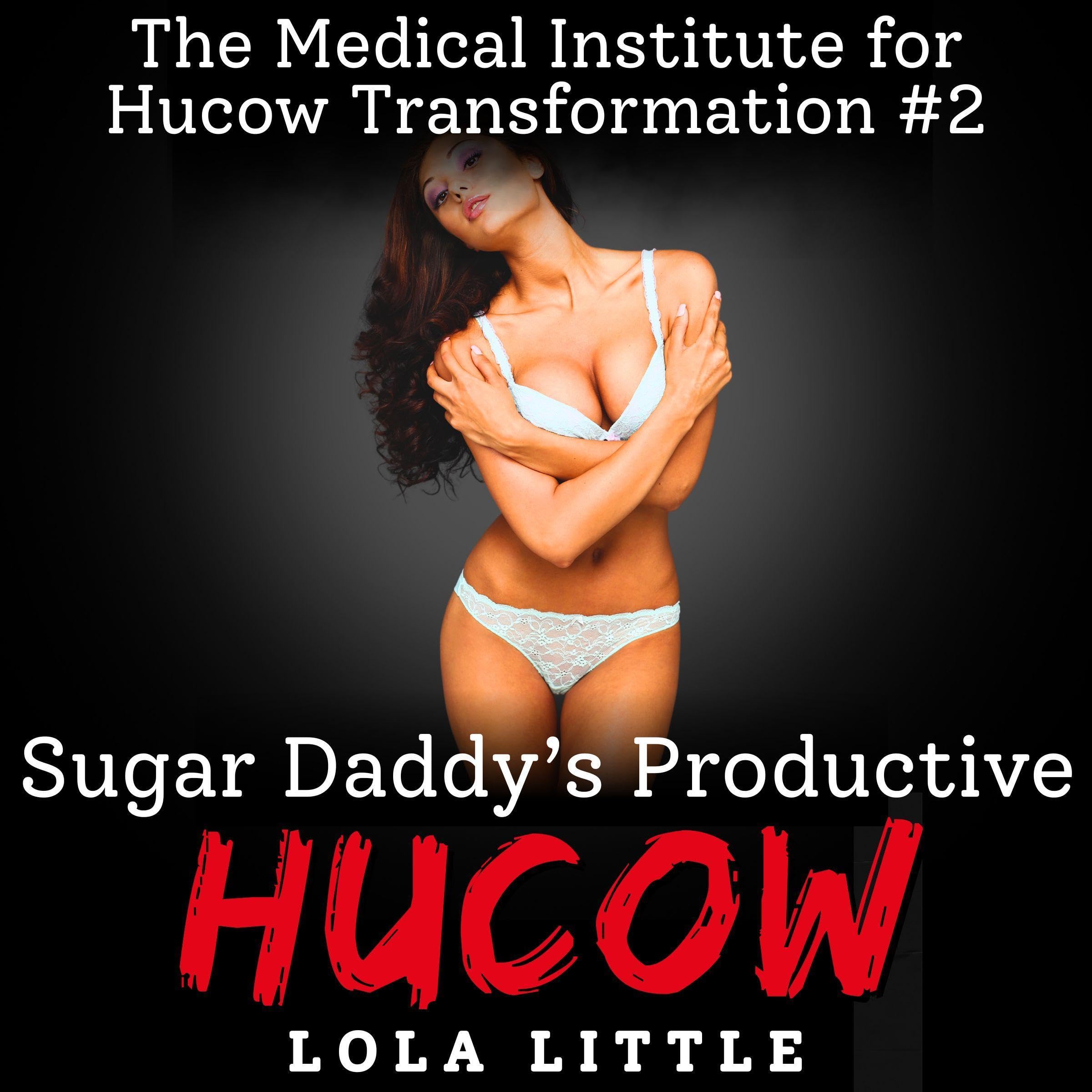 Cover art for Sugar Daddy's Productive Hucow