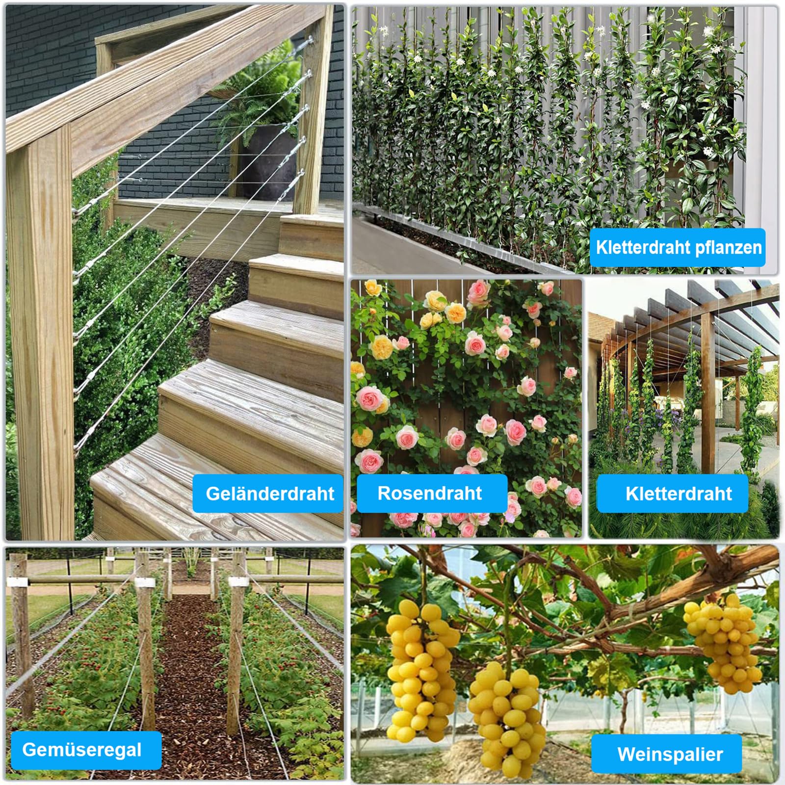 AMLOOPH 50m Edelstahl Drahtseil 2mm Rankhilfe Set für Garten mit M5 Seilspanner & Drahtseilklemmen – Gardinenseil, Stahlseil mit Ösen, Spanndraht für Rankgitter, Hängelampe, Seilspanngarnitur Außen