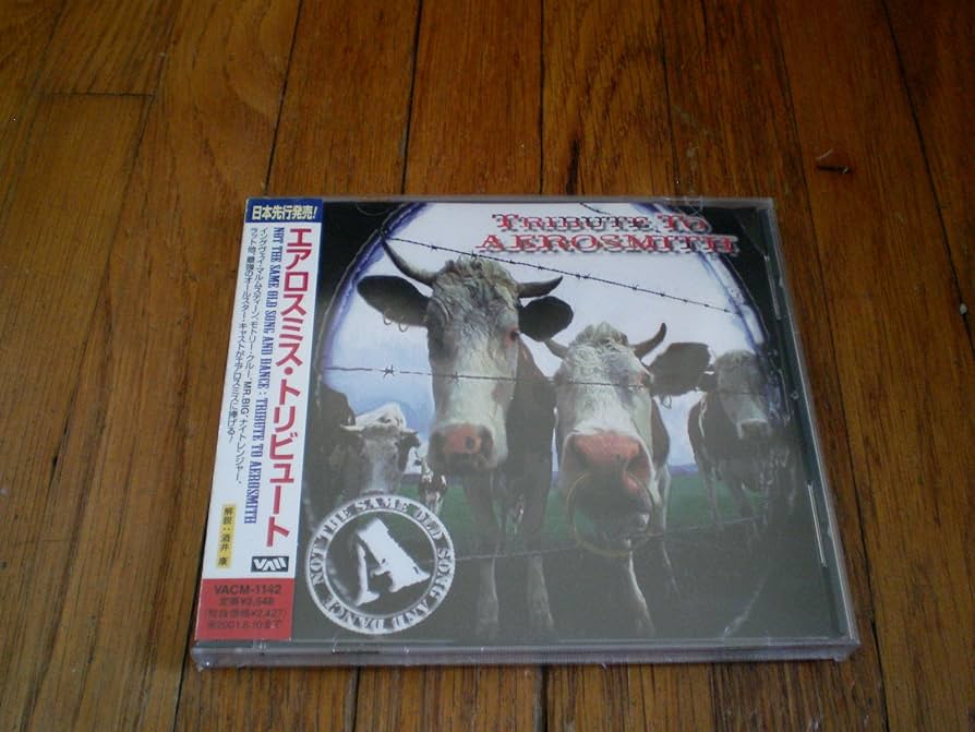 Amazon.co.jp: エアロスミス・トリビュート: ミュージック