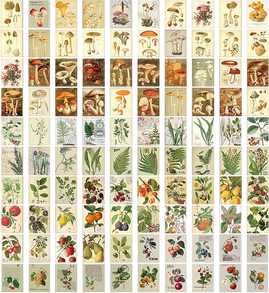 Amazon.co.jp: コラージュ 素材 400枚入り ノート型 デザインペーパー