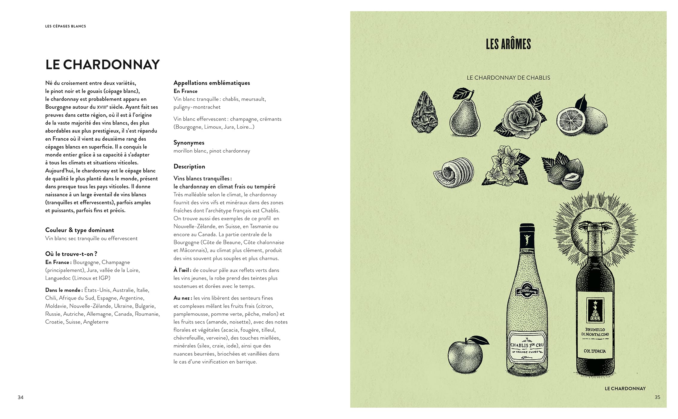 Le vin en 70 cépages