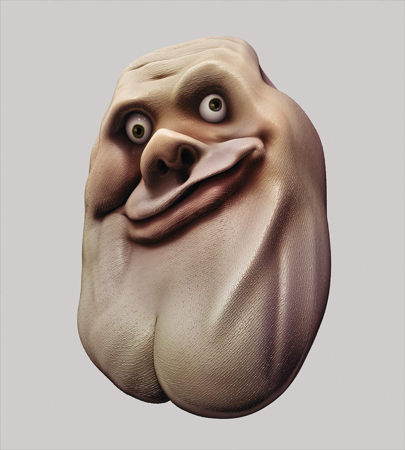 ABAKUHAUS Humor Awkward Meme Ugly Face Duvet Cover Set, Decorative Piece  Bedding Set with Throw Pillow Cover, 130 x 200 cm-70 x 50 cm, Pearl and Tan  : Amazon.nl: Home & Kitchen