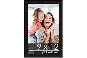 Poster Palooza 9x12 Wood Frame