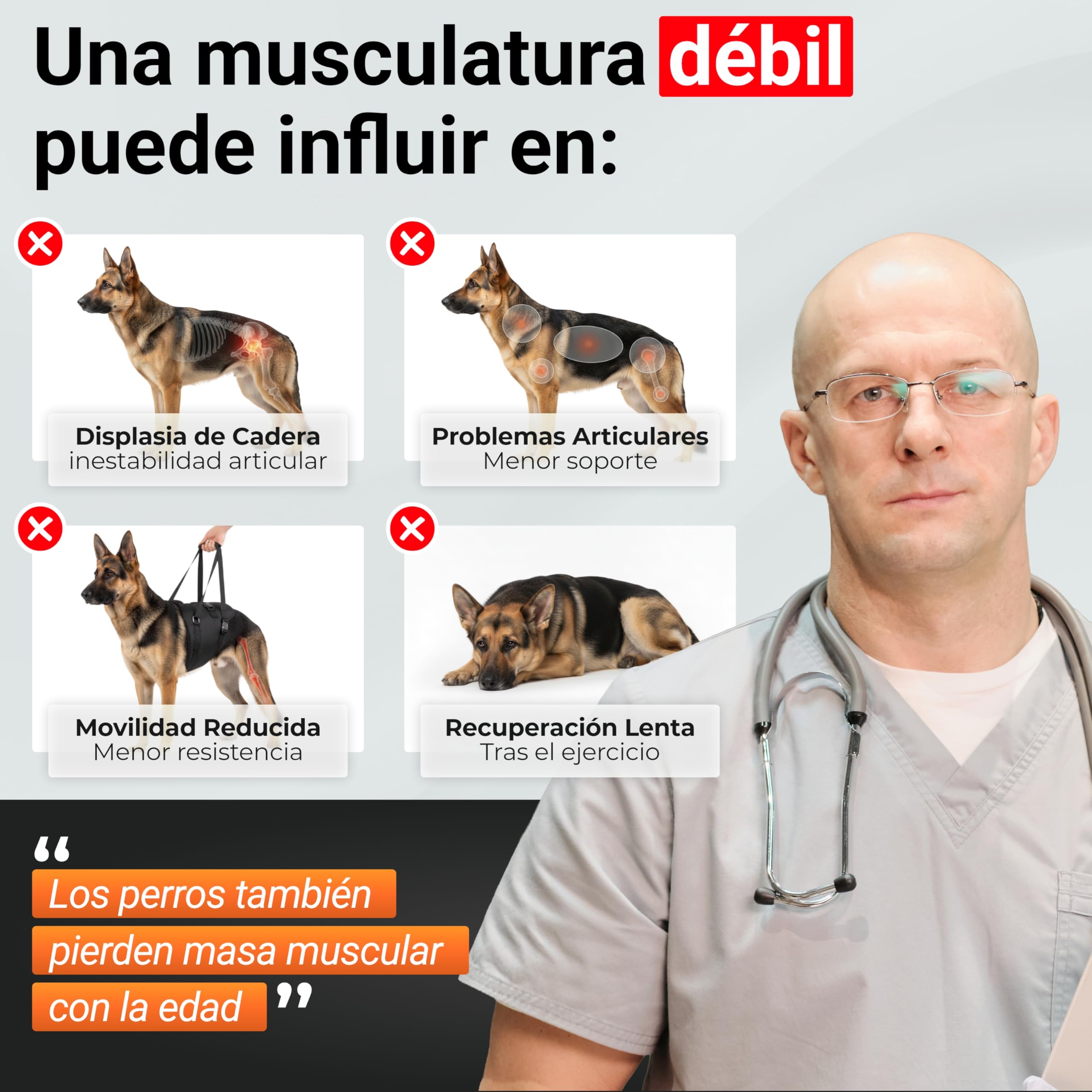 Power Tabs – Suplemento para Ganar Peso y Aumentar Masa Muscular en Perros | Tabletas Proteicas de Alto Rendimiento