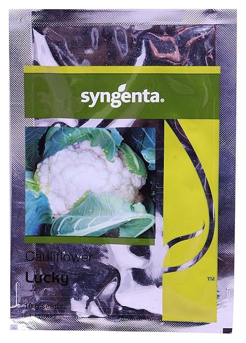 SYNGENTA HYBRID F1 LUCKY CAULIFLOWER SEEDS (10-GM)