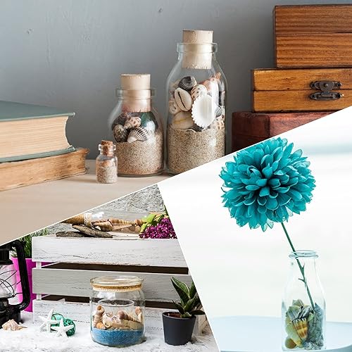 Miniatura 5 de UEIEU gopiter - Conchas marinas mixtas de playa, varios tamaños de hasta 2 pulgadas, conchas marinas naturales para manualidades, relleno de jarrón