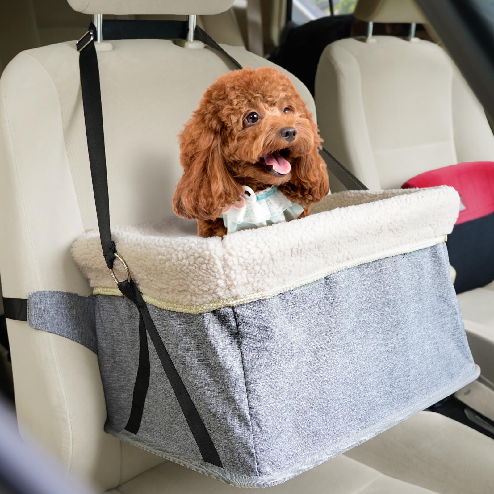 ペット用品ドライブボックス Amazon.co.jp: MOHOPE ペットドライブボックス 犬 車 ドライブボックス