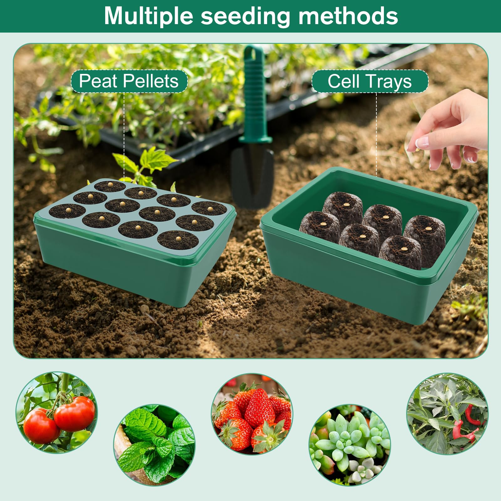 5 Pezzi Vassoi per Germinazione, Mini Serra Germinazione, Vassoi per Semi con Luce di Coltivazione, Semenzaio Propagatore Semi con Coperchi Alto con 10 Etichette, 2 Strumenti per Piante da Semina
