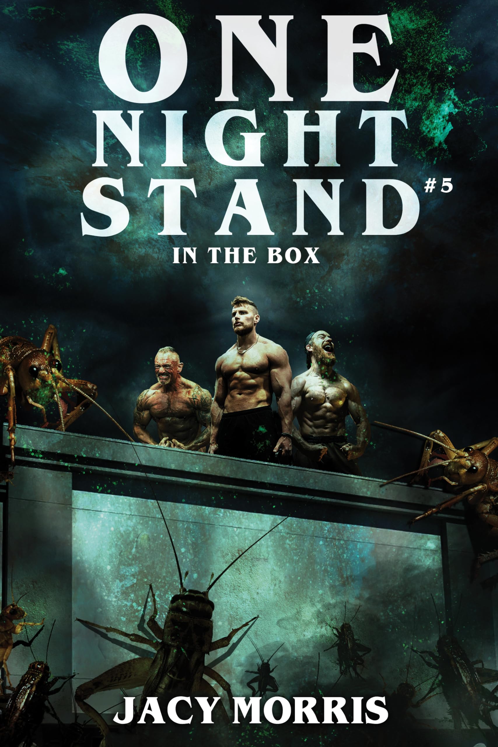 Cover of One Night Stand in the Box