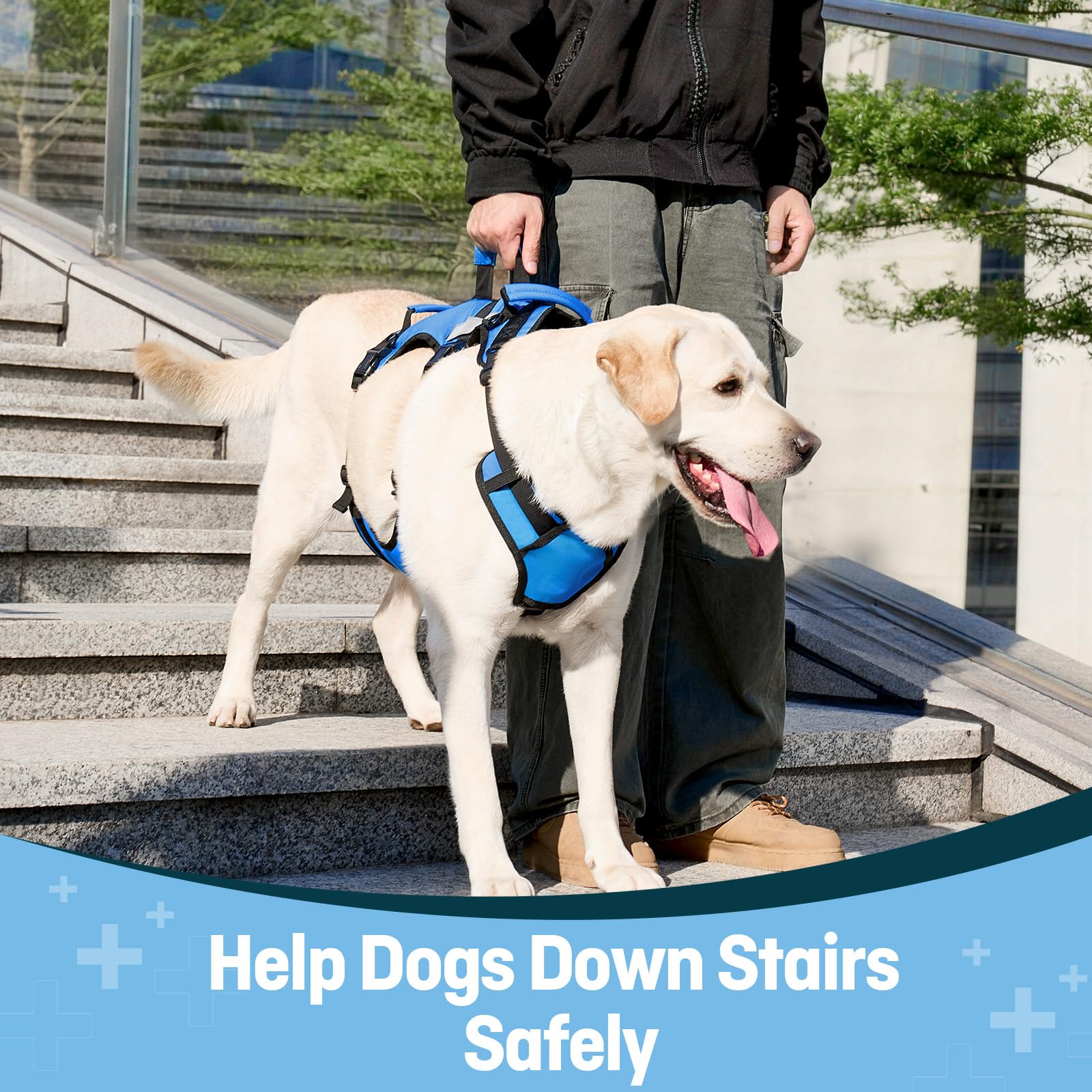 Harnais de Levage pour Grand Chien, Harnais de Soutien Complet avec 3 poignées et Sangle d’épaule, Aide à la Marche pour Chiens Seniors avec arthrite, Aide escaliers, Bleu, XL