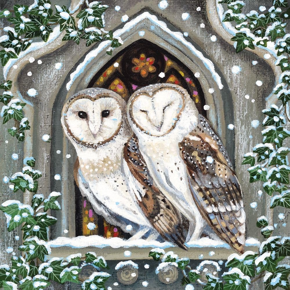 Museums & Galleries Charity Christmas Cards Pack of 8 - Lucy Grossmith Barn Owls in a Church Window - Festive Christmas Cards Multipack - In Aid of Macmillan Cancer Support