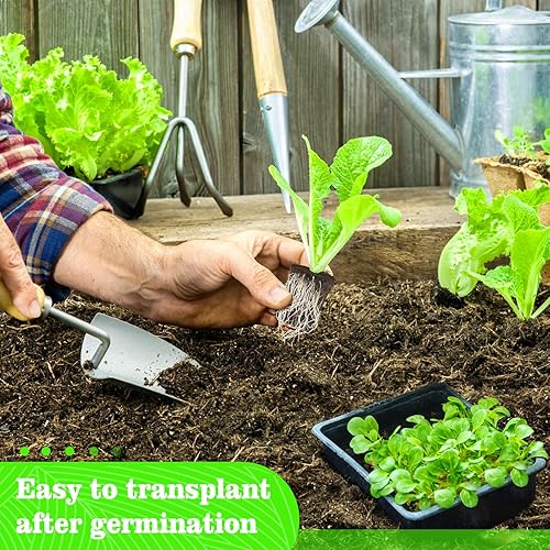 Miniatura 5 de 100 esponjas iniciadoras de semillas para germinar rápidamente, esponjas de crecimiento de raíces de repuesto, tapones rápidos, raíces de flores