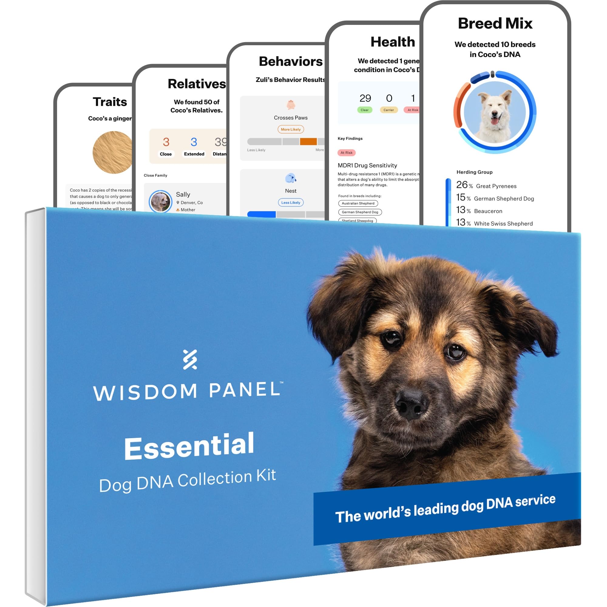 Wisdom Panel Essential Dog DNA Test Kit