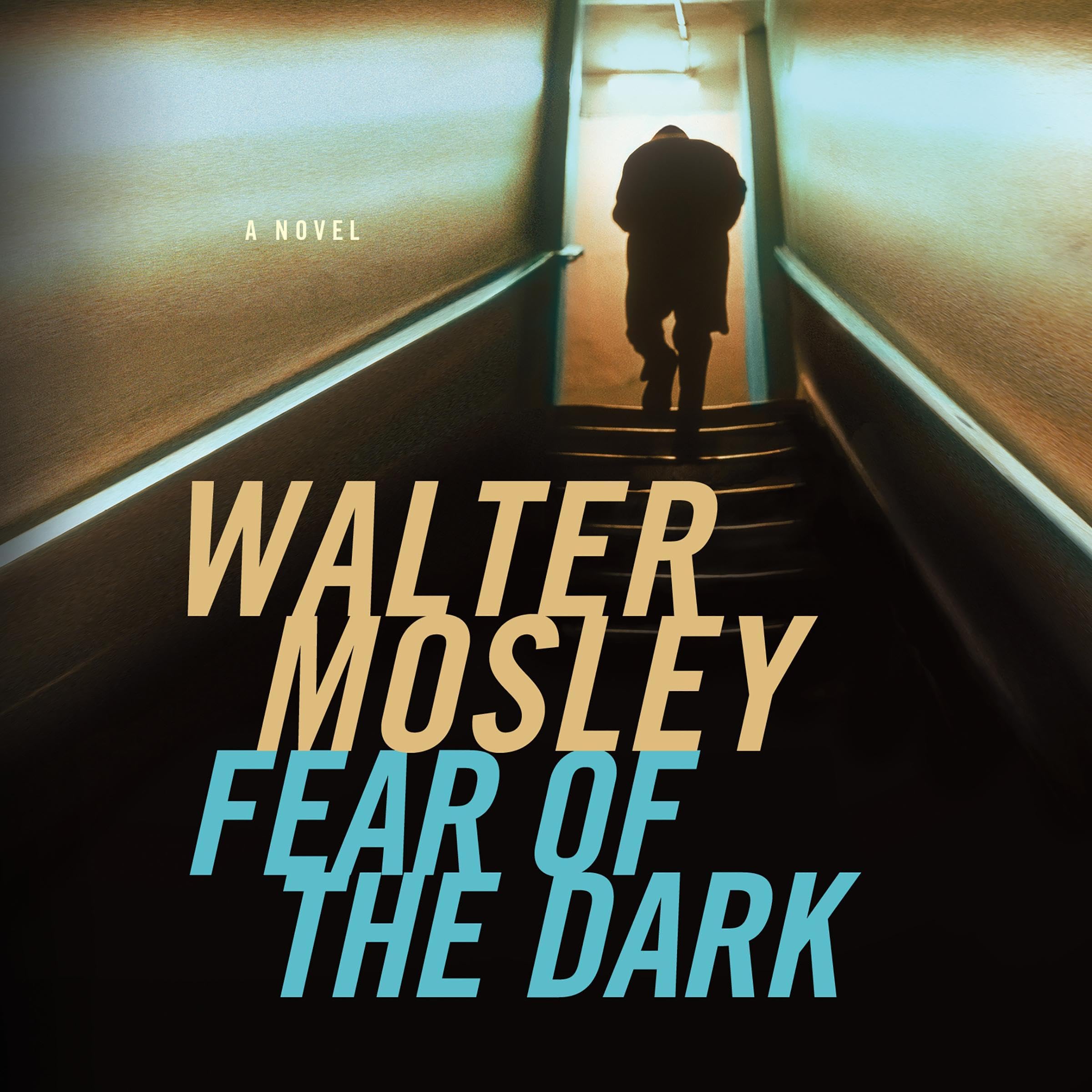 Cover art for Fear of the Dark