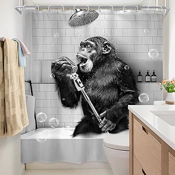 81i1NHWiqaL._AC_UF350,