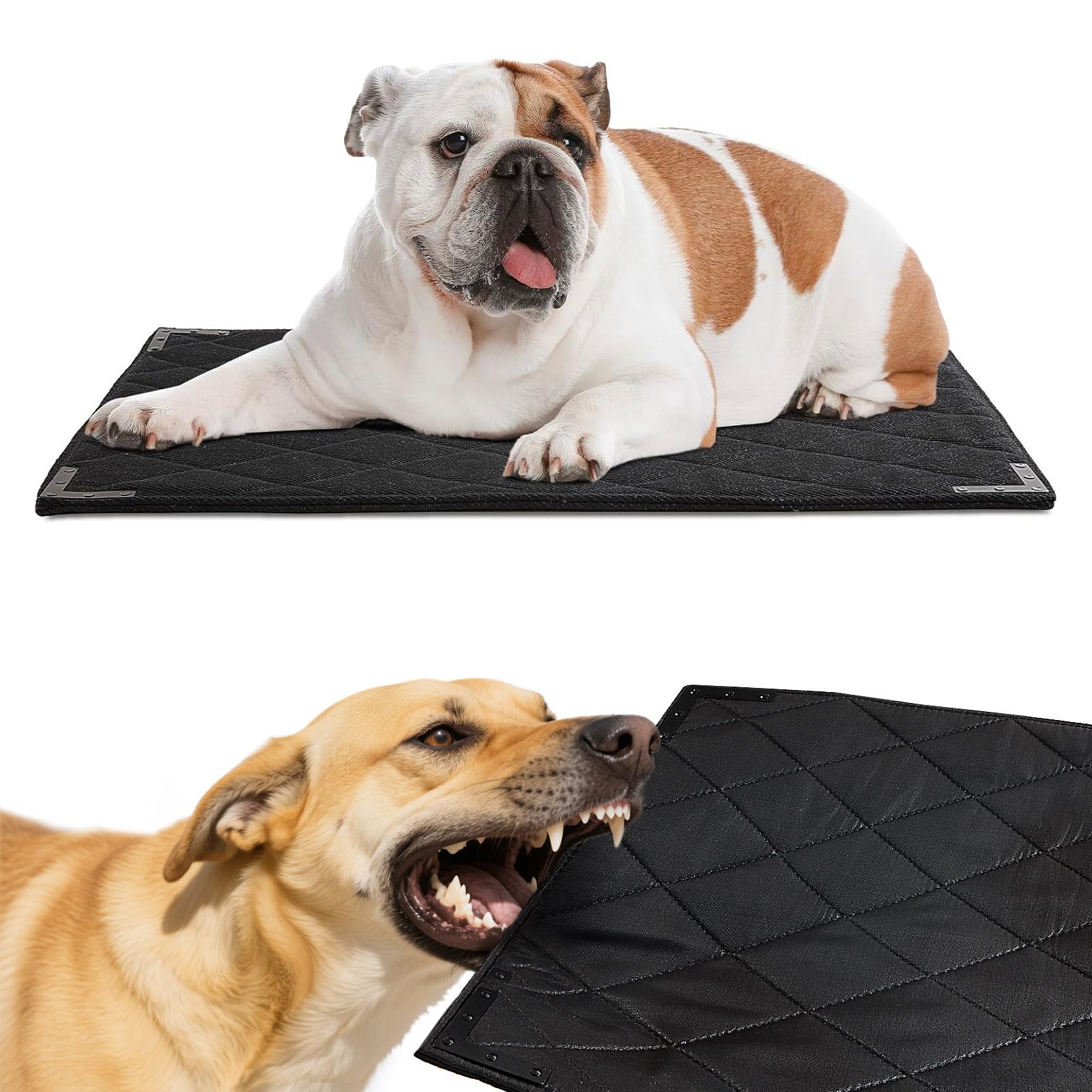 BALAPET XS Durable Chew Proof Dog Bed with Metal Rivet Corner, 23"x17"
