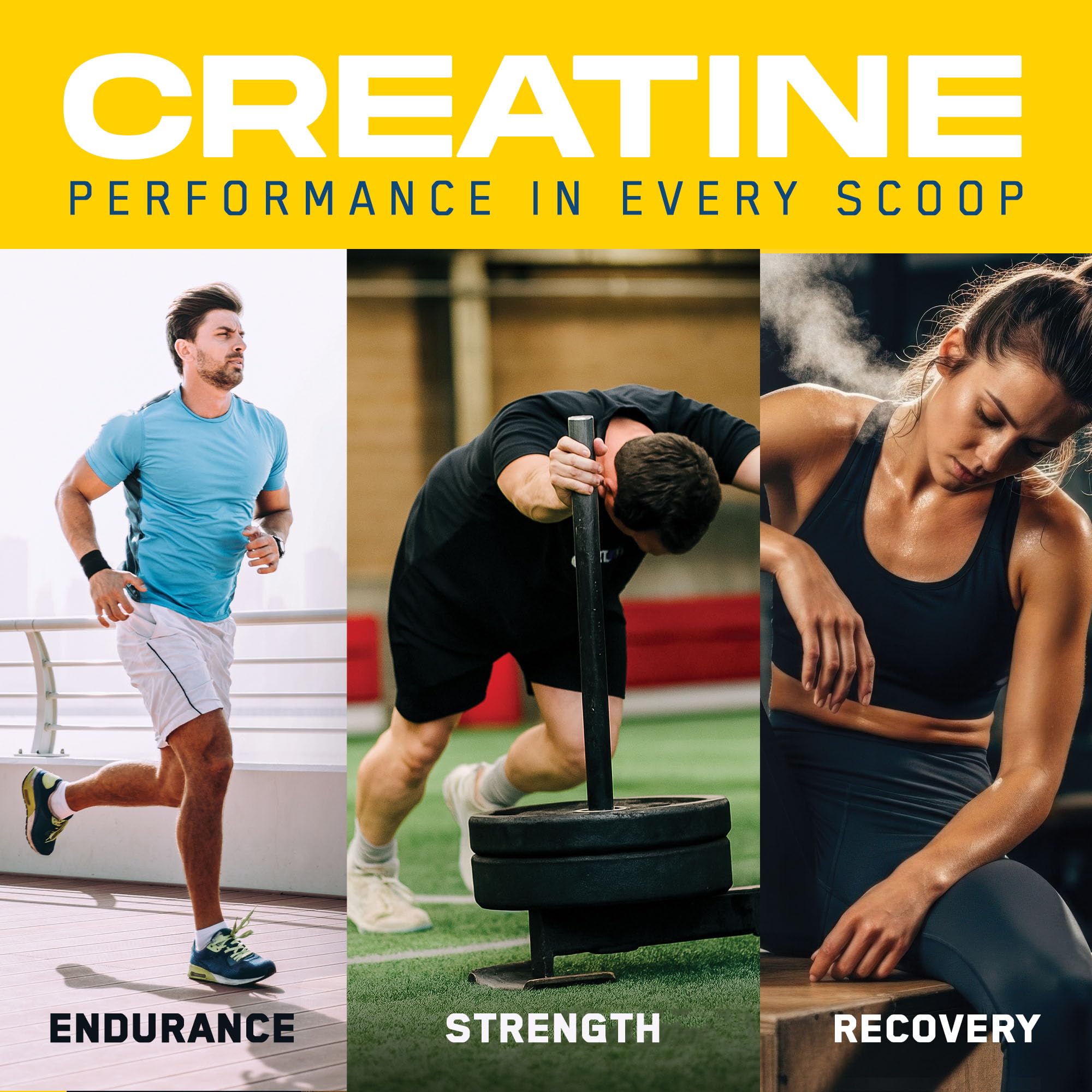 Applied Nutrition Creatine Monohydrate + Peptide - 444gÓ / Amazon: ãCreatine + Peptide - 444g - Naturel