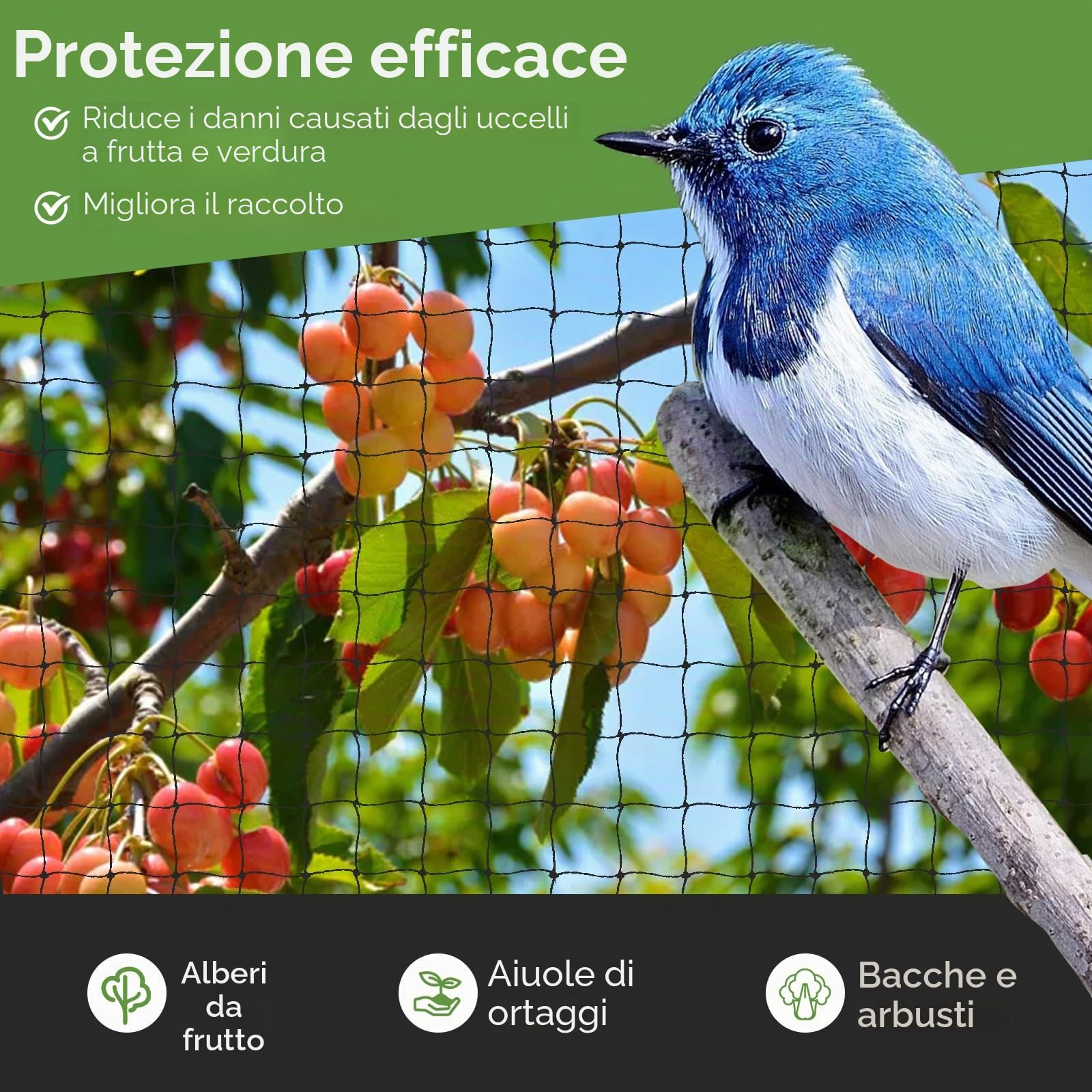 10 m x 10 m Rete Anti Piccioni, Rete Anti Uccelli Nero, Rete Giardino, per Giardino, Voliere, Protezione per Laghetto -Proteggere Piante, Frutta, Fiori, Alberi (Maglia da 2.5 X 2.5cm)