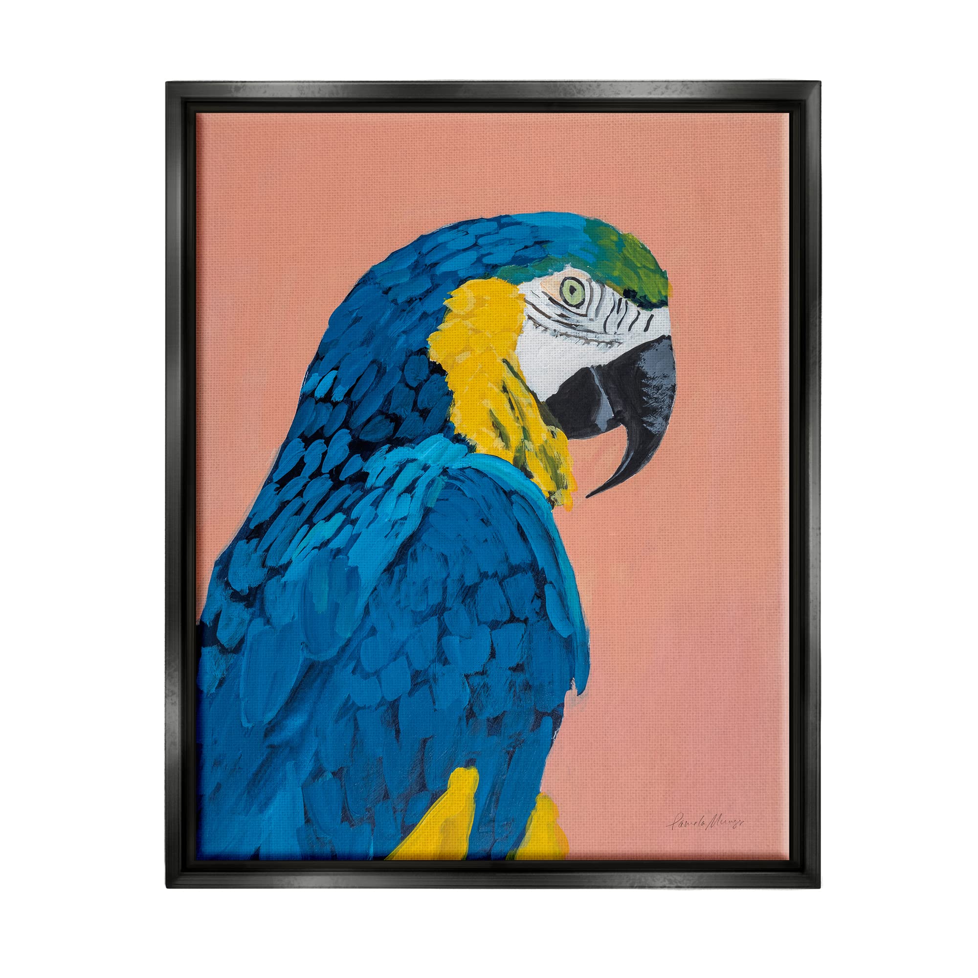 Stupell Industries Bold Parrot Wildlife Portrait Floating Framed Wall Art, Design by Pamela Munger