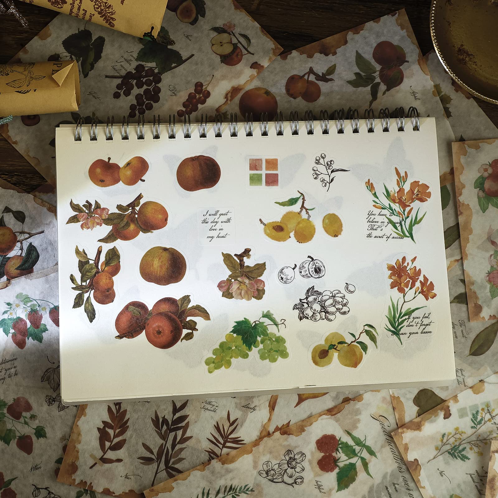 Dizdkizd Washi Nature książka z naklejkami do scrapbookingu, liść i owoce