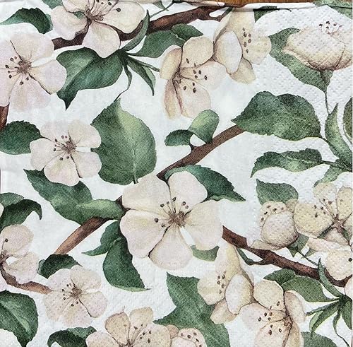 Keep Unique Servilletas de papel de 13 x 13 pulgadas, servilletas de cóctel de frutas impresas de 3 capas para arte, cena y fiesta, servilletas