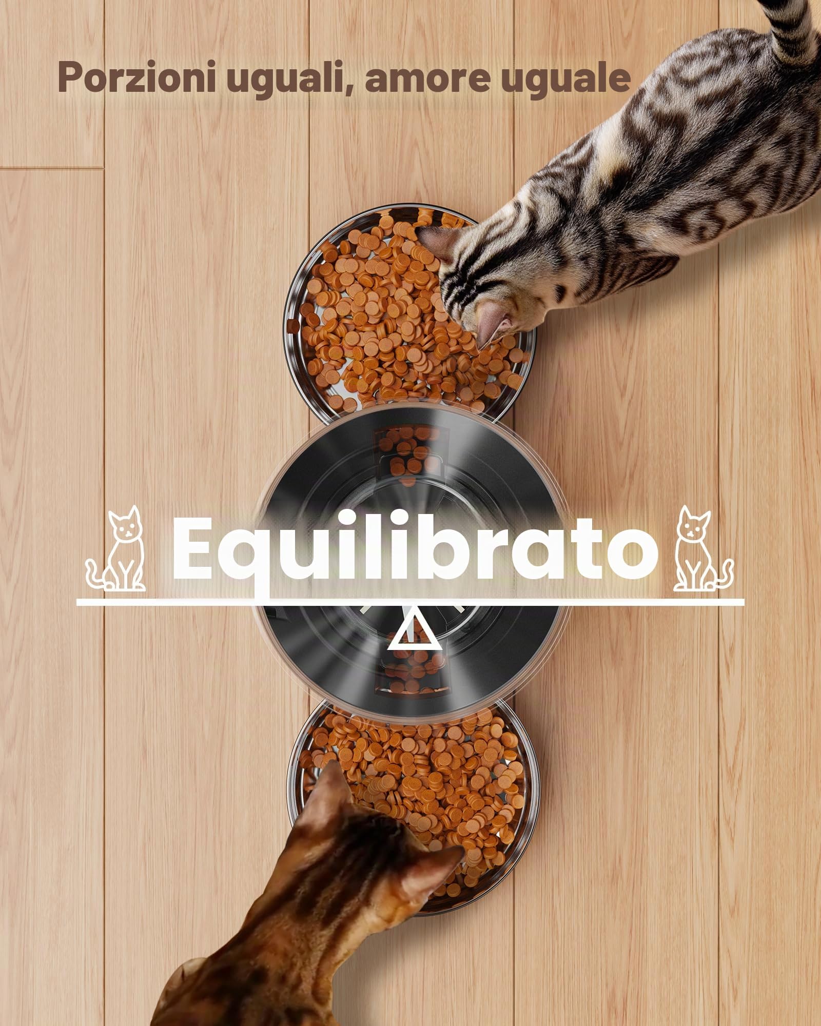 Distributore Automatico Cibo Gatti Doppio: Dispenser Crocchette Gatto Acciai Inossidabili - Erogatore Cibo Cani con Timer Programmabile - 5L Dosatore Crocchette - Mangiatoia Automatica con 2 Ciotola