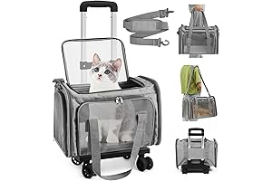Paterr Cat Carrier: Seamless Feline Transportation for Adventurous Cats