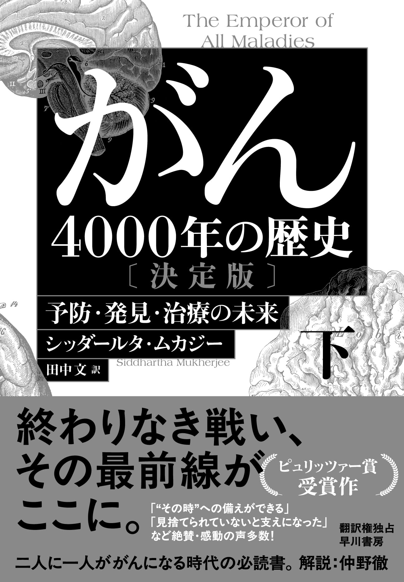 Amazon.co.jp: がん―4000年の歴史―〔決定版〕 下: 予防・発見・治療の
