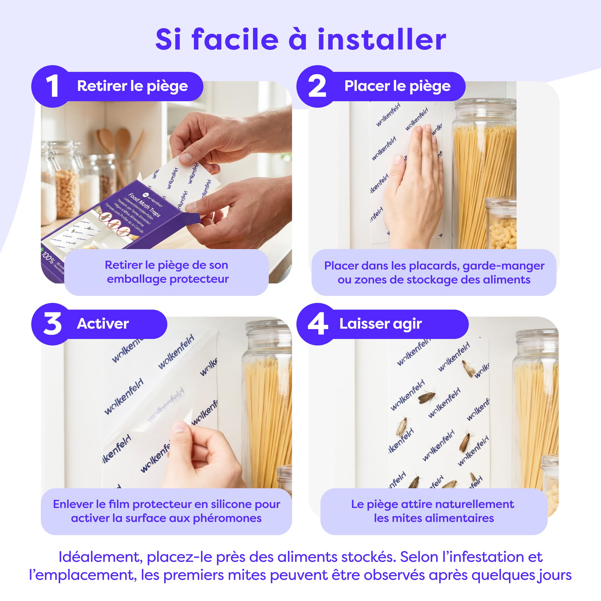 Wolkenfeld Piège à Mites Alimentaires x10 – Anti Mites Alimentaires Phéromone – 10 Pièges – Made in Germany